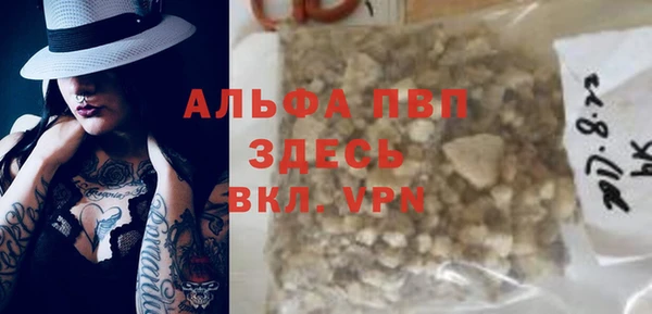 ECSTASY Белокуриха