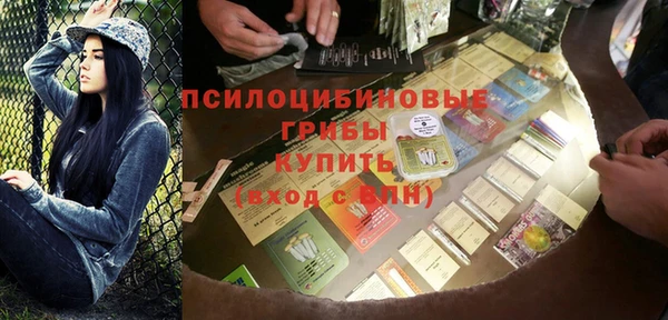 ECSTASY Белокуриха