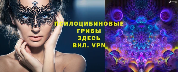 дживик Беломорск