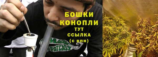 ECSTASY Белокуриха