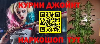 PSILOCYBIN Можга