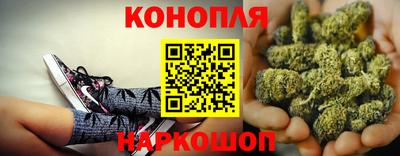 PSILOCYBIN Можга