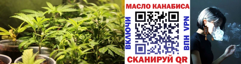 МЕГА вход  Дальнегорск  Дистиллят ТГК концентрат  где купить наркоту 