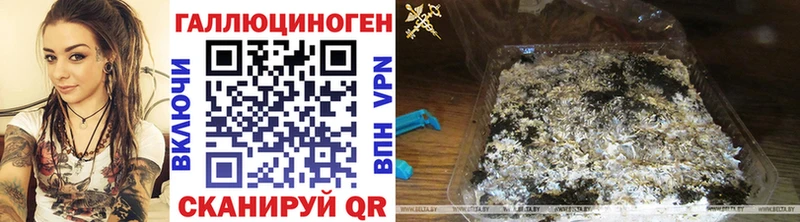 Псилоцибиновые грибы Cubensis  где купить наркотик  МЕГА ССЫЛКА  Дальнегорск 