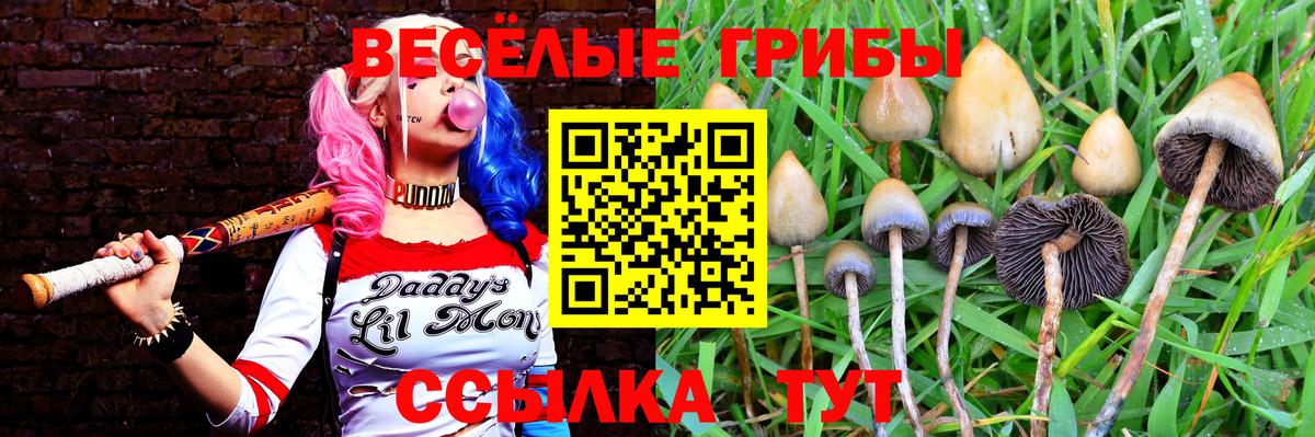 даркнет сайт  Вход с VPN  Дальнегорск  Псилоцибиновые грибы мицелий  Псилоцибиновые грибы Cubensis 