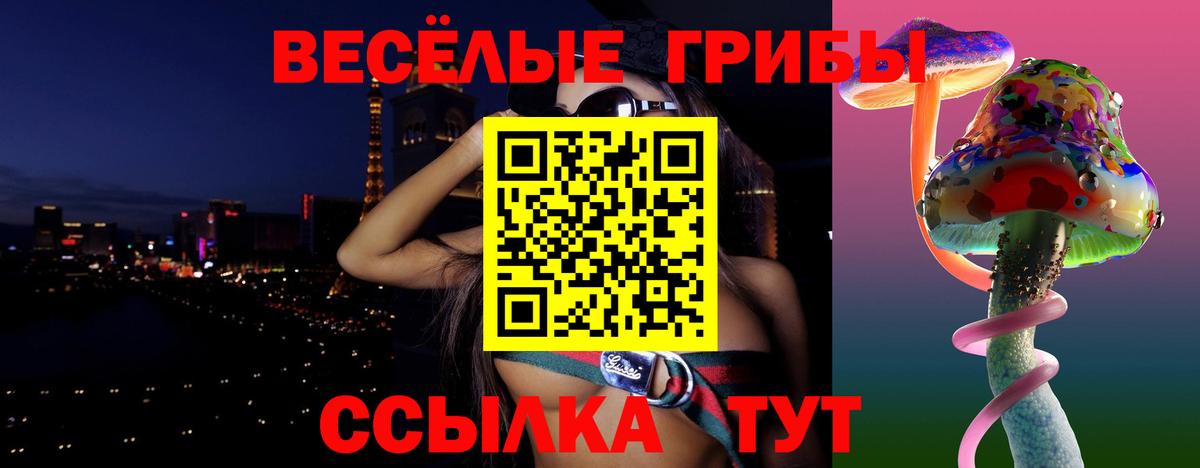 Псилоцибиновые грибы ЛСД Дальнегорск