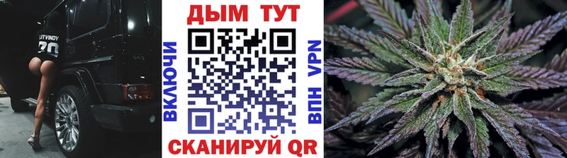 МАРИХУАНА конопля  наркотики  Дальнегорск 